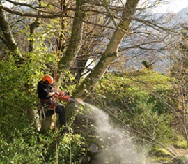 Gardening Services