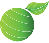 Read More About Tree & Gardening Services