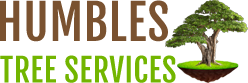 Humbles Tree Services | Tree Surgeons | Tree Surgery