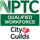 Qualified NPTC City & Guilds Tree Surgeons