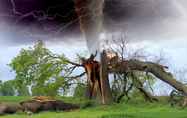 Storm Repairs & Damage in St Albans