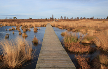 Conservation Areas in Wheathampstead