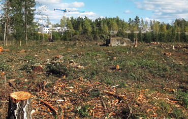 Vegetation & Site Clearance
